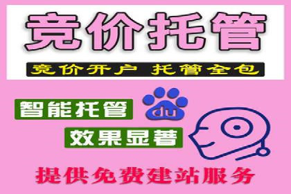 知名SEM公司案例分析：优化策略与成果